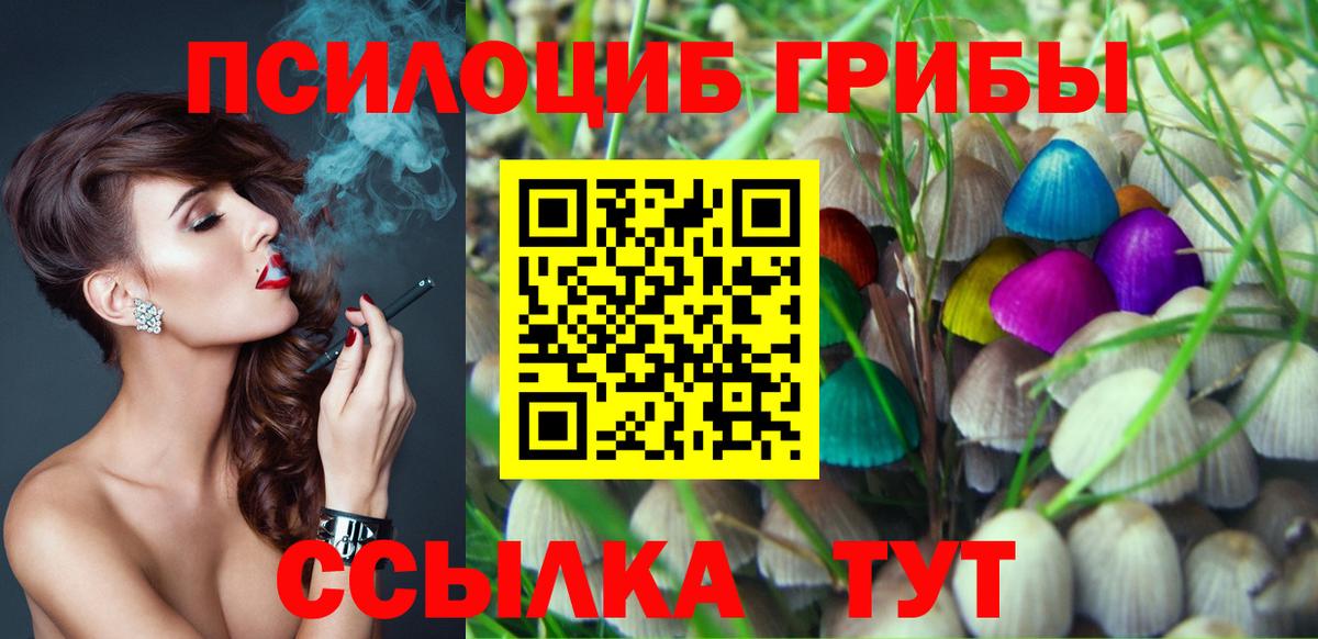 Псилоцибиновые грибы Cubensis Ульяновск