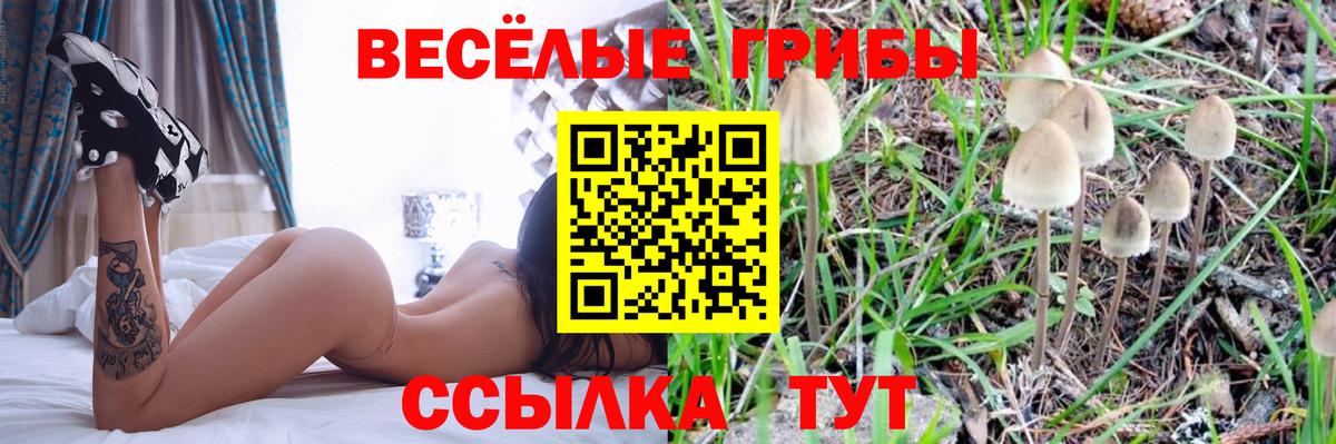 Псилоцибиновые грибы Psilocybe  Вход с VPN  Ульяновск  Псилоцибиновые грибы MAGIC MUSHROOMS 